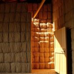 Home Addition Builders Montgomery: Matching Brick, Stone, and Siding Profiles